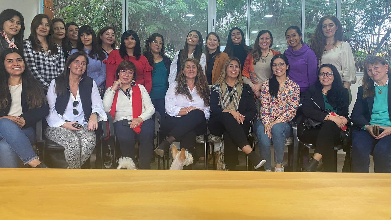 Taller de Arteterapia: Origami